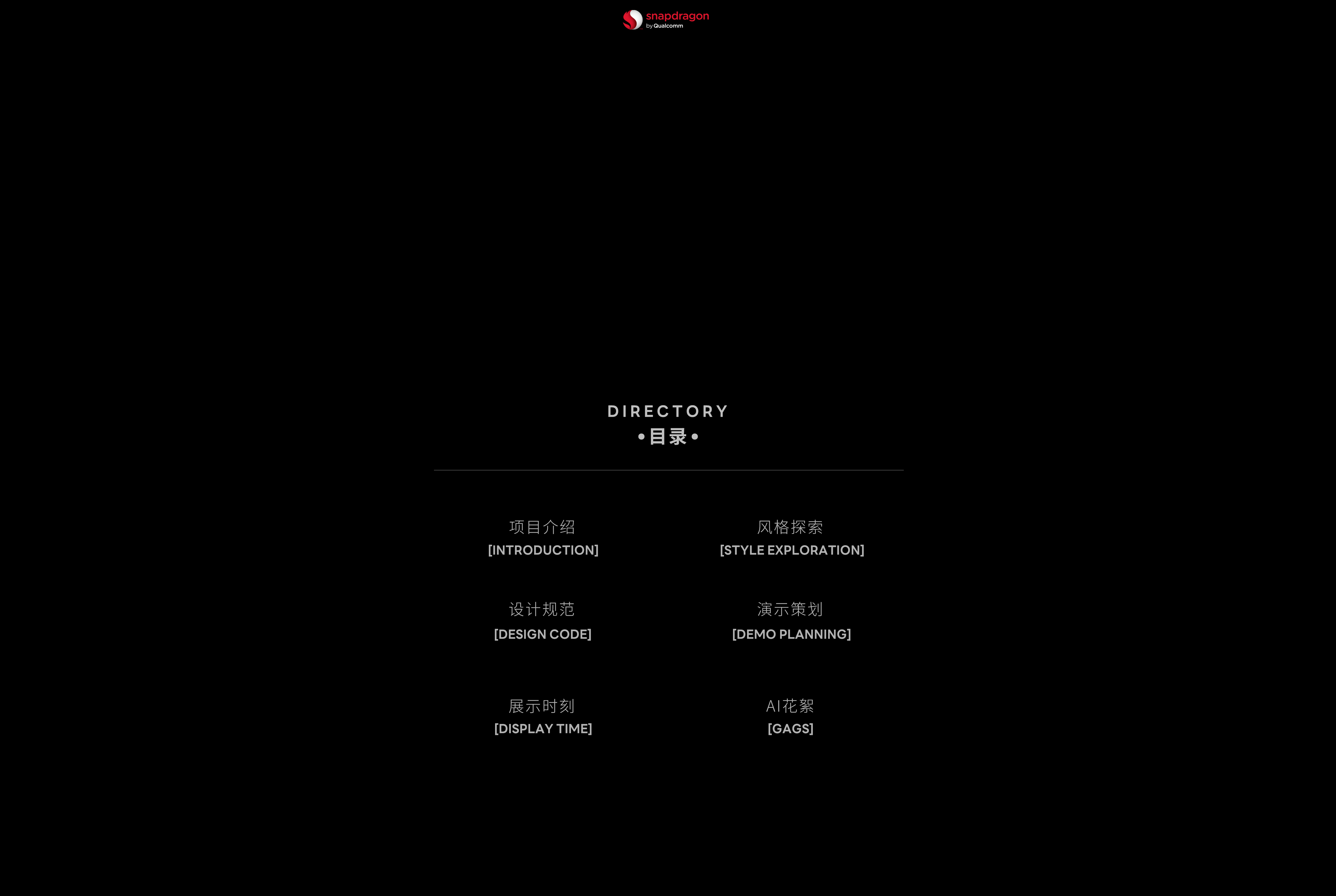 雷鸟开头+项目介绍_03.png