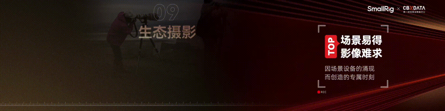 10.gif