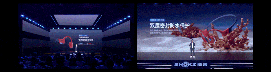 2_compressed.gif