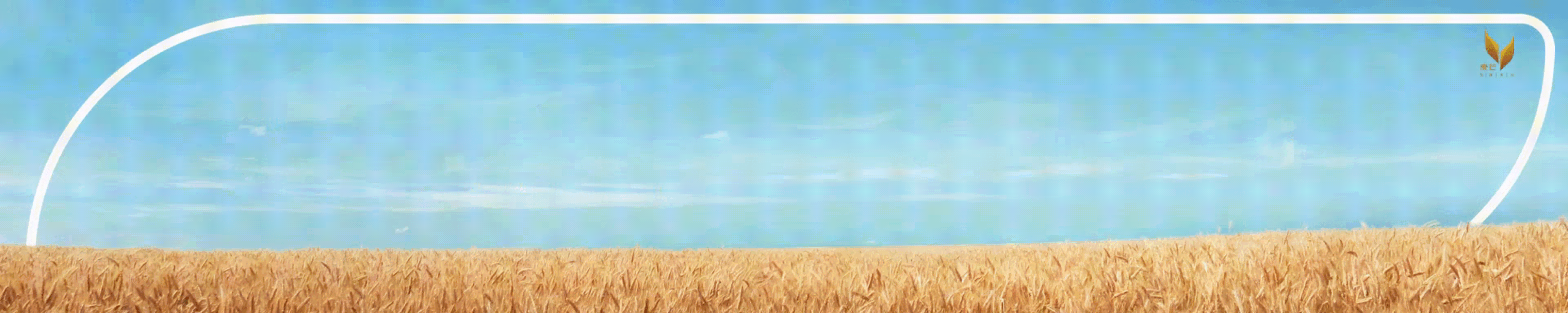 7月1日 (3)-12.gif