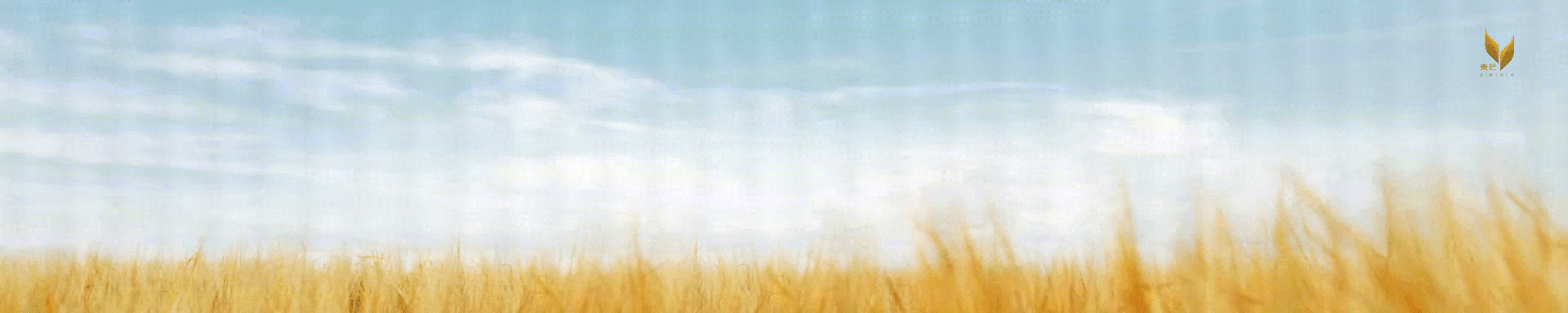 7月1日 (3)-5.gif