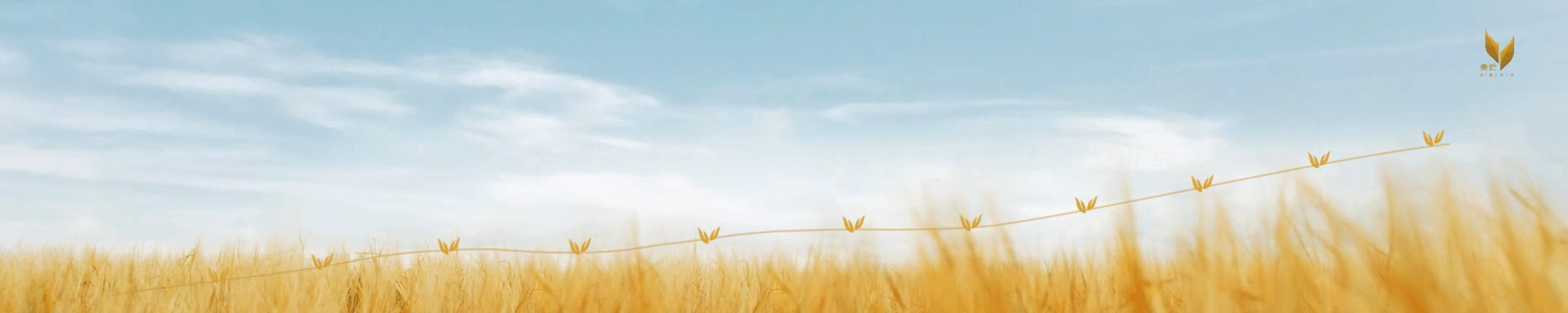7月1日 (3)-6.gif