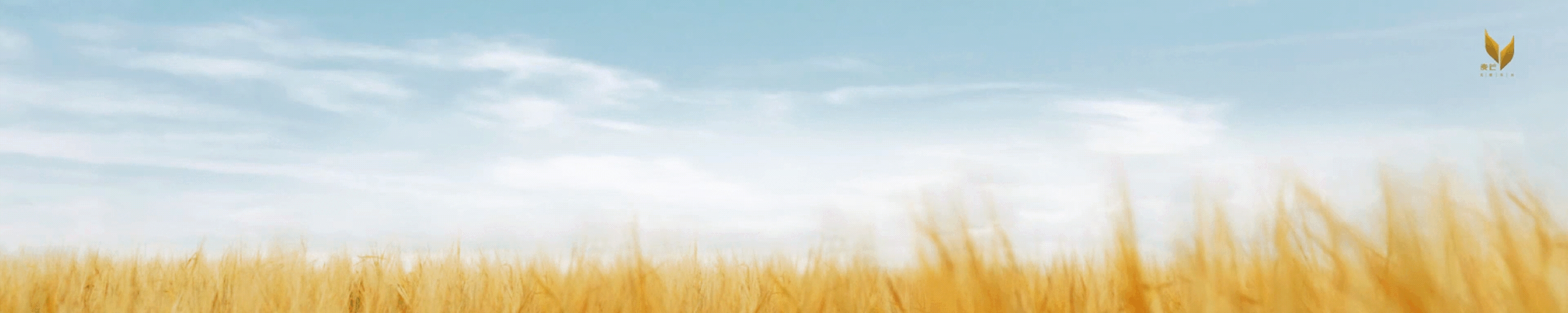 7月1日 (3)-7.gif
