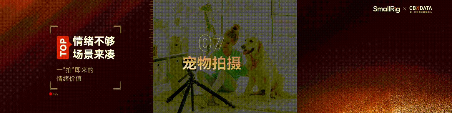 8.gif